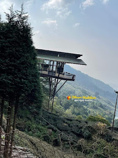 Margaret's Deck Tea Lounge Kurseong | Cafe in Kurseong | Best Darjeeling Tea Lounge | Goodricke Tea Margaret's Deck Tea Lounge Kurseong | Cafe in Kurseong | Best Darjeeling Tea Lounge | Goodricke Tea