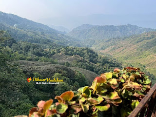 Margaret's Deck Tea Lounge Kurseong | Cafe in Kurseong | Best Darjeeling Tea Lounge | Goodricke Tea Margaret's Deck Tea Lounge Kurseong | Cafe in Kurseong | Best Darjeeling Tea Lounge | Goodricke Tea