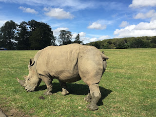 Longleat Safari Park-Longleat House-Mohabbatein Shooting Place